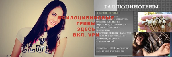 герыч Арсеньев